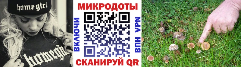 Галлюциногенные грибы ЛСД  Старица 